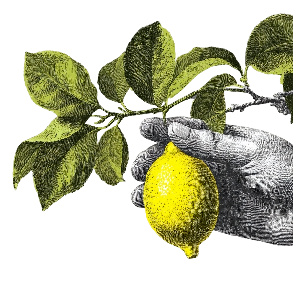 Greek hand holding a lemon